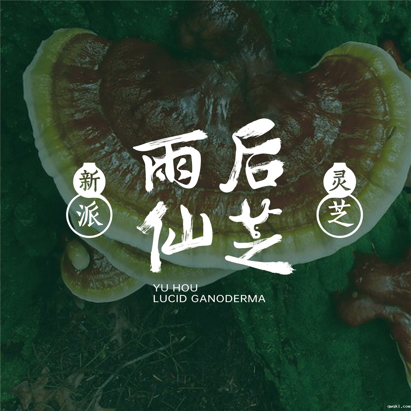 设计公司