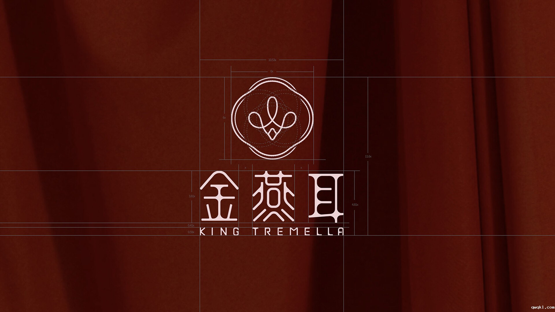 银耳品牌形象设计-金燕耳品牌形象设计